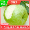 Jingxiansheng Shandong Aomori Wanglin Apple Net Weight 4.5 Jin Single Fruit 200g + Fresh Fruit Straight from the Source