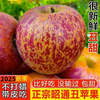 25-year-old Yunnan Zhaotong Ugly Apple Rock Candy Heart Authentic Gift Box Fresh Apple Fruit Seasonal Whole Box Flat Fruit Full Box 6 Jin Large Fruit Fruit Diameter 75-80 Net Weight 5 Jin