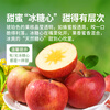 Oriental Selection Xinjiang Aksu Apple Rock Candy Heart Crisp, Sweet and Refreshing, Juicy Fresh Seasonal Fruit Bad Fruit Pack for New Year Goods, 5kg Pack of Large Fruits, Approximately 8-11 Pieces, Single Fruit 230g+