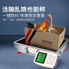 Today's selection (jinxuan) portable wireless electronic scale, floor scale, commercial bench scale, stall scale, separate large screen display, electronic scale, floor scale, food waste logistics, large industrial express scale, thickened 300 kg, 42*52, high battery life