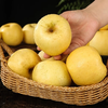 Beijing Fresh Shandong Cream Fuji Apple, net weight 5 pounds, single fruit 85-90mm, fresh fruit, direct shipping from the source, free shipping