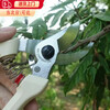 Ginger Yunaoski pruning shears Alice 130DX flower shears gardening shears garden scissors fruit tree shears