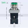 Schneider flat head illuminated button XB2BW33B1C self-reset XB2BW34B1C green normally open red normally closed XB2BW34M1C_red normally open_220V