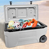 Insulated box, outdoor camping, sea fishing, large-capacity live fish box, commercial stall, ice cube car refrigerator, 75L standard configuration