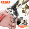 MIEHONE Japanese craft scissors, pruning shears, gardening scissors sk5 special scissors for pruning flowers and branches, fruit tree thick branch scissors, Japanese original SK5 steel, free gloves and maintenance oil