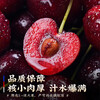 Yujingxian Chile imported cherries next day delivery JD/SF Express 5kg cherry fruit gift box as a gift 5kg (net weight) extra large fruit 2JJ grade single fruit 28-30mm