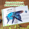 DK Collection Museum Series DK Extraordinary Insects by Jesse French 5 years old + children's popular science