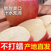Rock candy heart apple fresh fruit red Fuji season whole box 5 pounds Shaanxi seasonal ugly apple flat fruit single fruit 70mm + 1 piece