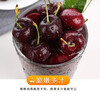 Chilean cherries in stock, freshly imported large cherry cherry holiday gift box, 5 catties (net weight), imported original box, small fruit XL, single fruit 24-26mm