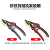 DELIXI ELECTRIC gardening scissors, special scissors for cutting branches, floral scissors, garden fruit tree pruning shears, two-color handle