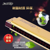 Dongfangding German imported gongs 28-hole polyphonic harmonica twelve-key accent C-key high-end adult professional performance instrument 28-hole A key golden polyphony