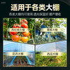Anti-aging plastic sheet greenhouse plastic film anti-aging drip-free film vegetable greenhouse insulation film transparent greenhouse film 10S thick imported anti-aging high insulation greenhouse film 2 meters wide and 35 meters long