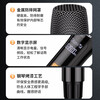 SAST rechargeable wireless microphone one-to-two universal universal microphone home KTV singing speech stage K song conference speaker audio amplifier 92A (random delivery)