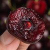 Shengrong Fruits and Vegetables Chilean imported cherries JD/SF - next-day delivery to many places Cherry fresh fruit gift box gift box 5 pounds (net weight) The most cost-effective high-end gift box Black diamond level Big Mac 3J 30-32mm