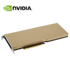 NVIDIA A10 24G GPU NVIDIA Tesla PCI-E AI deep learning training inference acceleration 1600HMz graphics card industrial packaging