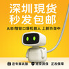 LIVING.AIPocket AIBI Smart Pocket Robot Supports Chinese Conversation Ready Shenzhen Ships in Seconds AIBI+ Lifetime Warranty - Returns and Exchanges Not Supported