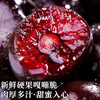 Meiyuexian champion quality Chilean cherries in gift box imported cherries, gift group purchase, SF part can be delivered the next day, 5 catties (net weight), original box ready, not unpacked to keep fresh, more hygienic, scarce fruit king 4J, single fruit 12-14g
