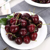 Chilean cherries in stock, freshly imported large cherry cherry holiday gift box, 5 catties (net weight), imported original box, small fruit XL, single fruit 24-26mm