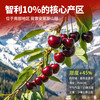 Meiyuexian champion quality Chilean cherries in gift box imported cherries, gift group purchase, SF part can be delivered the next day, 5 catties (net weight), original box ready, not unpacked to keep fresh, more hygienic, scarce fruit king 4J, single fruit 12-14g