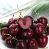 Chilean cherries in stock, freshly imported large cherry cherry holiday gift box, 5 catties (net weight), imported original box, small fruit XL, single fruit 24-26mm