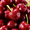 Ziyi imported cherries from Chile JD/SF Express next-day delivery to multiple places 3J4J optional cherry fruit gift box 4 catties (net weight) 5 catties in box gift box gift selection gold diamond gift level 4J Super Big Mac 32-34mm
