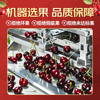 Meiyuexian champion quality Chilean cherries in gift box imported cherries, gift group purchase, SF part can be delivered the next day, 5 catties (net weight), original box ready, not unpacked to keep fresh, more hygienic, scarce fruit king 4J, single fruit 12-14g