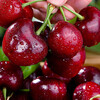 Ziyi imported cherries from Chile JD/SF Express next-day delivery to multiple places 3J4J optional cherry fruit gift box 4 catties (net weight) 5 catties in box gift box gift selection gold diamond gift level 4J Super Big Mac 32-34mm