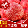Baoxiansheng Authentic Shaanxi Luochuan Apple Red Fuji Crisp, Sweet and Juicy Seasonal Fresh Fruit for Pregnant Women Whole Box of Fresh Ugly Apples 80-85mm with box 10 catties (net weight 8.8 catties)