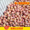 Rock candy heart apple fresh fruit red Fuji season whole box 5 pounds Shaanxi seasonal ugly apple flat fruit single fruit 70mm + 1 piece