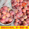 Rock candy heart apple fresh fruit red Fuji season whole box 5 pounds Shaanxi seasonal ugly apple flat fruit single fruit 70mm + 1 piece