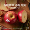 Aifei American Apple, 8 pieces of super large fruit, fruit gift box, imported fresh food, single fruit starting from 200g, shipped directly from the source