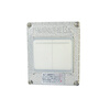 CXFB explosion-proof switch explosion-proof wall switch dual-control lighting switch with rain cover SW-10 two open 1 piece