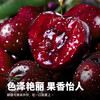 Jingyu Chilean cherries 4J grade JD/SF - next-day delivery to many places 5kg cherry fruit New Year gift box 3kg (net weight) boutique gift box high repurchase Big Mac 3J single fruit 30-32mm