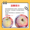 Xianhehuiyou domestic Fuji apple fresh fruit, the whole box is about 5.5-4.7 catties/net content 2000g