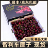Fresh Premium Chilean Cherries JD/SF Next Day Delivery to Multiple Places Imported Fresh Big Cherries Seasonal Fruit Gift Box 1.8kg (net weight) Affordable Family Gift Box Super Big Mac 4J Single Fruit 32-34mm
