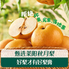 Ying's Infant Qiuyue Pear Cream 120g Baby Pear Cream Autumn Pear Cream Milk Powder Companion Drink Sea Buckthorn Apple Juice