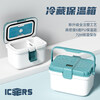 ICERS Eisens 3L insulated box PU medical insulin refrigerator outdoor breast milk refrigerator meal delivery heat preservation with 4 ice bags