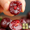 Fresh Premium Chilean Cherries JD/SF Next Day Delivery to Multiple Places Imported Fresh Big Cherries Seasonal Fruit Gift Box 1.8kg (net weight) Affordable Family Gift Box Super Big Mac 4J Single Fruit 32-34mm