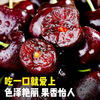 Guoxuan Chilean cherries JD - next-day delivery to many places. Cherry imported fruit gift box packed with new year gifts for parents. 2 pounds (net weight) (cost-effective package) early adopter gift box. Luxury grade. Solid and crisp. 4J Golden Diamond Fruit King 32-34mm.