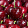 Fresh Premium Chilean Cherries JD/SF Next Day Delivery to Multiple Places Imported Fresh Big Cherries Seasonal Fruit Gift Box 1.8kg (net weight) Affordable Family Gift Box Super Big Mac 4J Single Fruit 32-34mm