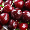 Jingdida Chilean cherries 4J grade fruit king 1.8 catties single fruit 32-34mm fresh fruit gift box direct from source with free shipping