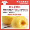 Jingxiansheng Shandong Venus apple net weight 3 catties single fruit 200g fresh fruit direct from the source with free shipping