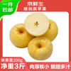 Jingxiansheng Shandong Venus apple net weight 3 catties single fruit 200g fresh fruit direct from the source with free shipping