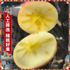 Xinjiang Aksu Rock Candy Heart Apple Fresh Fruit Gift Box Whole Box Ugly Apple Directly Picked from Xinjiang 70-85mm 10kg in box, net weight 8.8kg, large fruit 80-85mm
