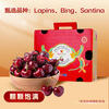 Jingxiansheng Chilean cherries 2J grade 5 catties gift box, fruit diameter about 28-30mm, fruit gift box, free caliper