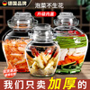 WCZ German Sichuan pickle jar household glass jar sealed jar pickle jar pickled sauerkraut special jar old-fashioned pickling 5 catties + inner lid lead-free + thick + clip + brush