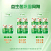 Yili Jinling Guan Aibeiyou Active Lactic Acid Bacteria Powder (Trial Pack) 1.5g*2 pieces