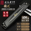 Guoguang 24-hole polyphonic harmonica #A/B/C/D/E/F/G imported gongs for beginners, adults, professional performance level with engraving, 24 holes in C key, performance level-polyphony-commonly used keys