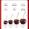 The No. 1 member store has a special New Year card to send Chilean imported cherries 2J 28-30mm 5 catties + 12 boxes * 20 eggs that can be eaten raw