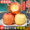 Jingyuan Shaanxi Red Fuji Apple, Crisp, Sweet and Ugly Apple, Seasonal Flat Fruit, Fresh Rock Candy Heart Apple, Fresh Fruit, Preferred 5kg Pack (Net Weight 4.5kg)